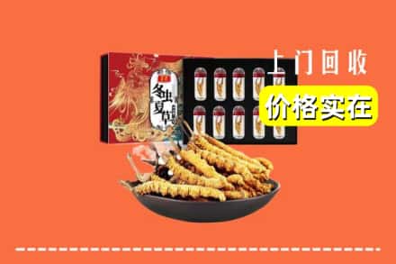 津市回收冬虫夏草